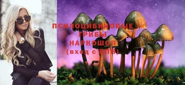 ешки Алзамай